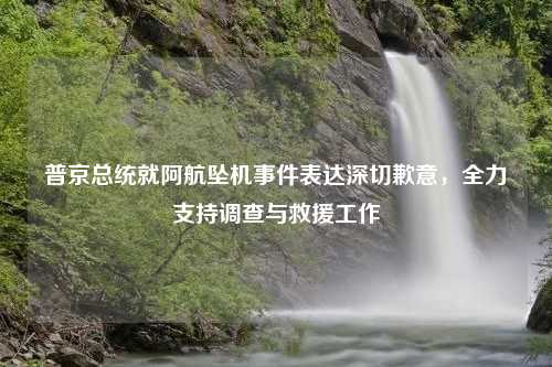 普京总统就阿航坠机事件表达深切歉意，全力支持调查与救援工作