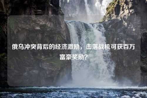 俄乌冲突背后的经济激励，击落战机可获百万富豪奖励？