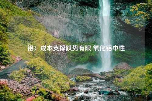 铝：成本支撑跌势有限 氧化铝中性