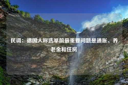 民调：德国人称选举前最重要问题是通胀、养老金和住房