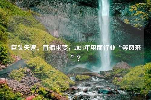 巨头失速、直播求变，2024年电商行业“等风来”？