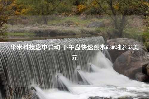 华米科技盘中异动 下午盘快速跳水6.30%报2.53美元