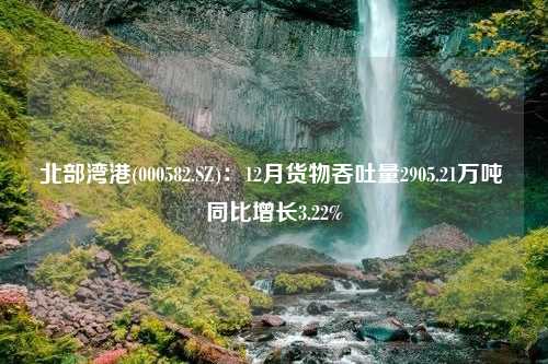 北部湾港(000582.SZ)：12月货物吞吐量2905.21万吨 同比增长3.22%