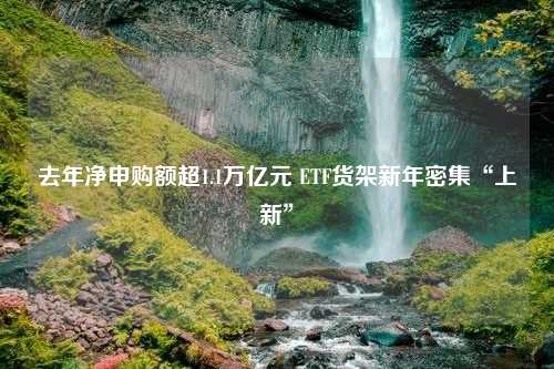 去年净申购额超1.1万亿元 ETF货架新年密集“上新”