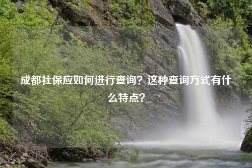 成都社保应如何进行查询？这种查询方式有什么特点？