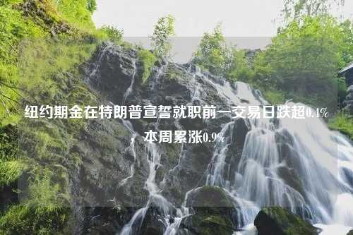 纽约期金在特朗普宣誓就职前一交易日跌超0.4%，本周累涨0.9%